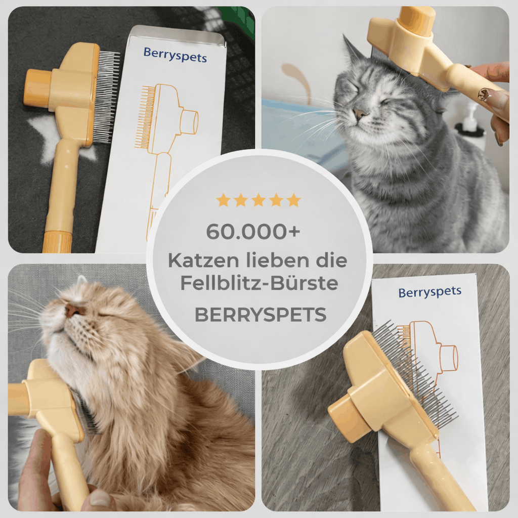 Fellzauber-Bürste — Bestseller
