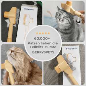 Fellzauber-Bürste — Bestseller
