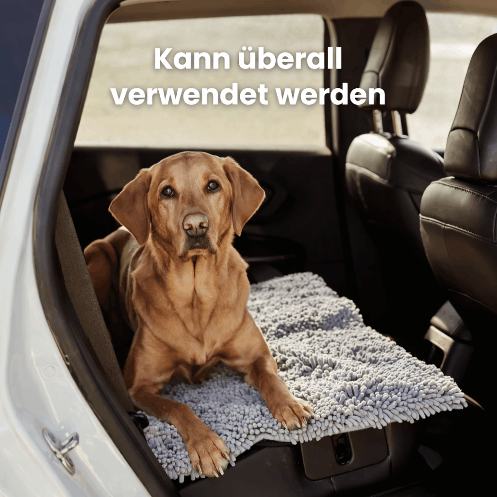 Berry's  Schmutzfangmatte