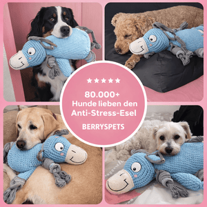 Anti-Stress-Plüschie