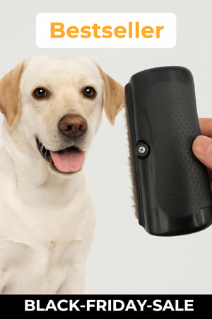 Berry's Professionelle Bürste