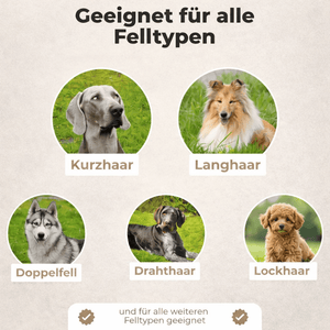 Berry's Professionelle Bürste Wunderbürste