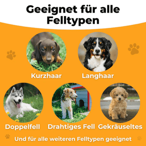 Berry's Professionelle Bürste