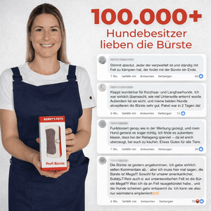 Berry's Professionelle Bürste Wunderbürste