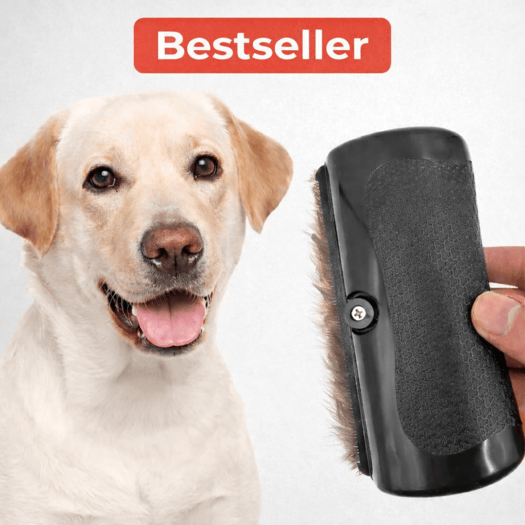 Berry's Professionelle Bürste Wunderbürste