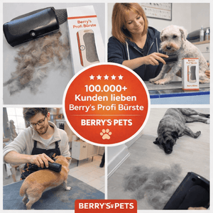 Berry's Professionelle Bürste Wunderbürste